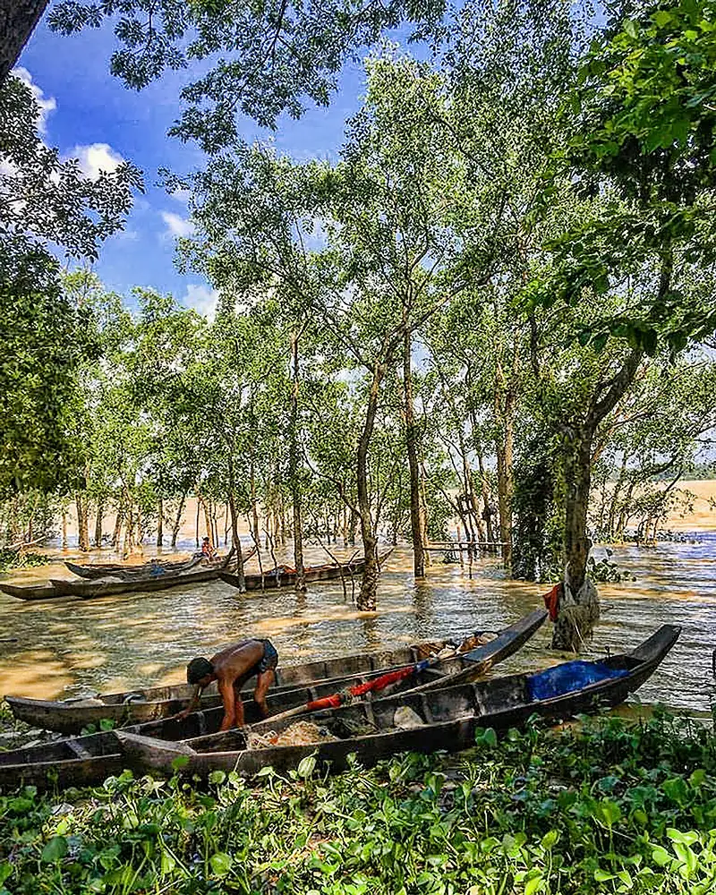 চুনতি বন্যপ্রাণী অভয়ারণ্য-এর ছবি