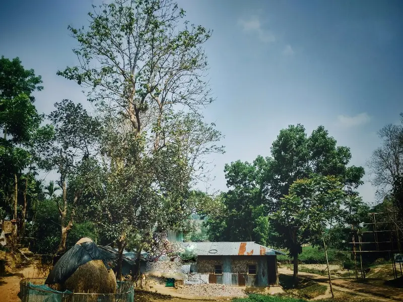 দুধপুকুরিয়া-ধোপাছড়ি বন্যপ্রাণী অভয়ারণ্য-এর ছবি
